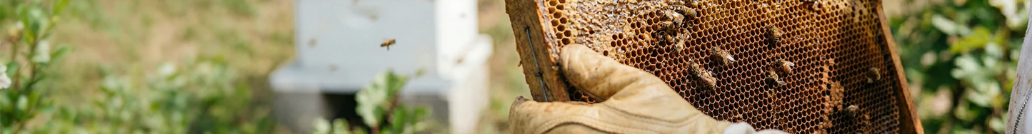 Honey Superfoods, Treats, & Teas