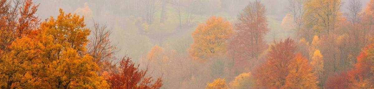 Celebrate the Fall Season