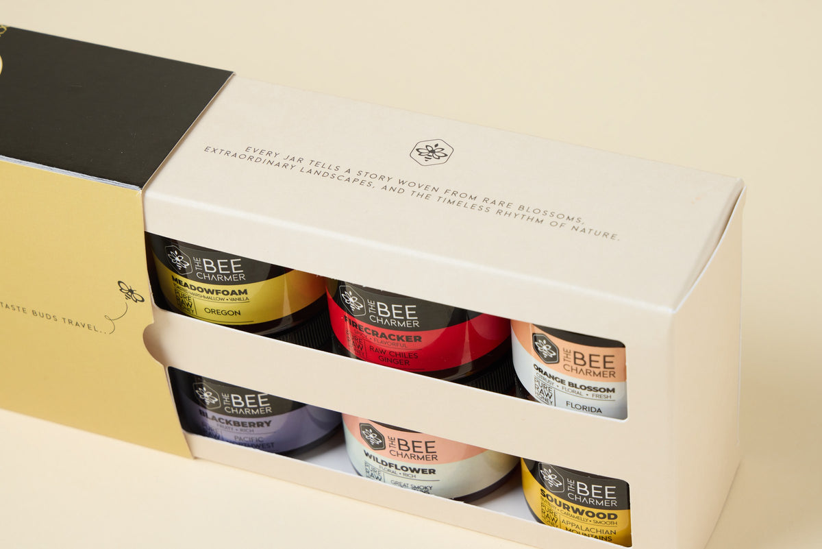 Honey Discovery 6-Pack Gift Set box top, showing six jars of raw honey